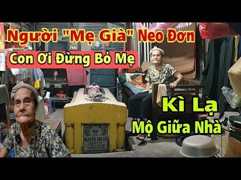 Video Kì lạ 4 người con để 