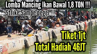 [LIVE] Mancing Ikan bawal 1,8 Ton | Strike sampe pegel | Grand Opening Kampoeng gowes Fishing