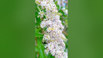 سورة الرعد الايه٣٤:٢٨# قران # قران كريم # السعودية#foryou