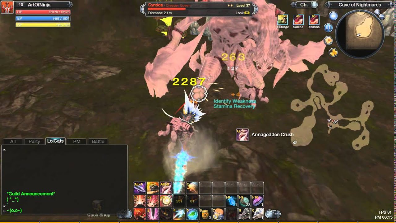 RaiderZ - Cyndea Solo (Zerk)