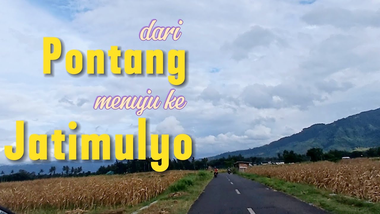 Adakah yang sering lewat sini? Atau rumahnya di daerah sini?