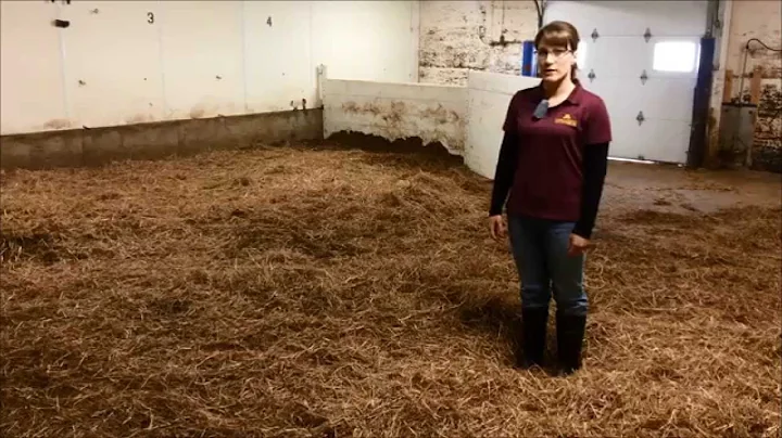 Alternative Swine Biosecurity:  All-In-All-Out Management Practice