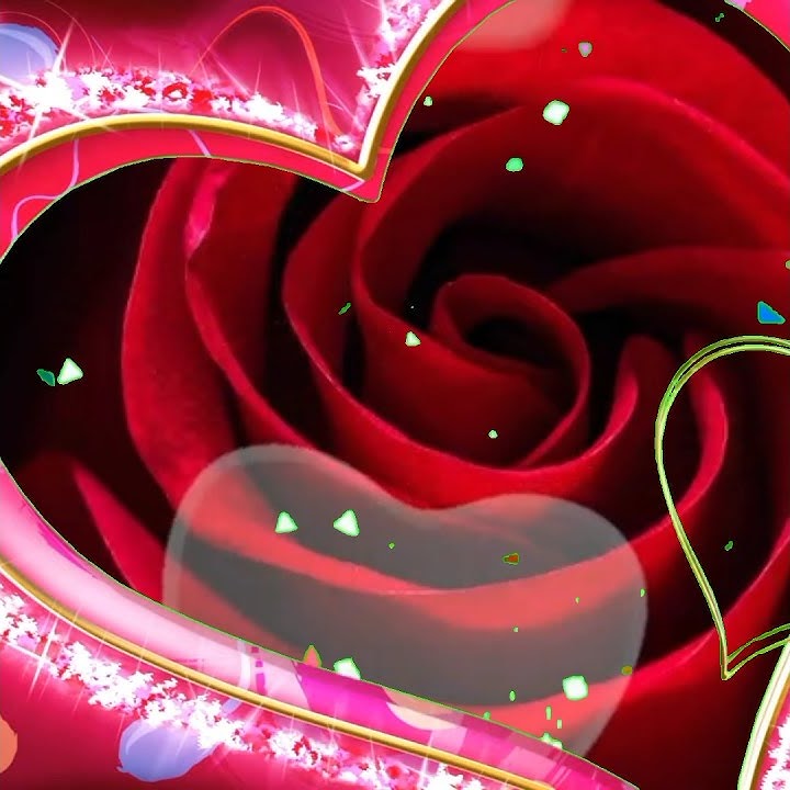 Wedding Invitation Video Background Blank No Text