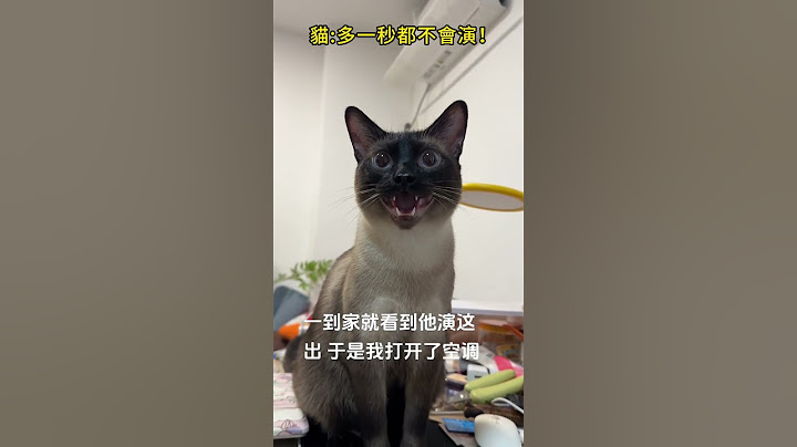 貓咪🐱聽到空調開機後…，貓貓我啊多一秒都不會演🙄 #cat #funny #shorts #cute #funnyshorts