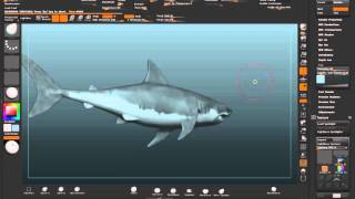 shark turntable