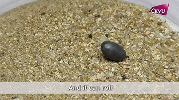 Novel magnetic spray transforms objects into millirobots for biomedical applications