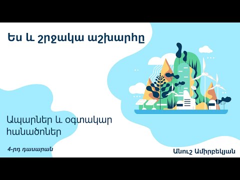 Video: Ինչու են օգտակար հանածոները համարվում չվերականգնվող ռեսուրսներ: