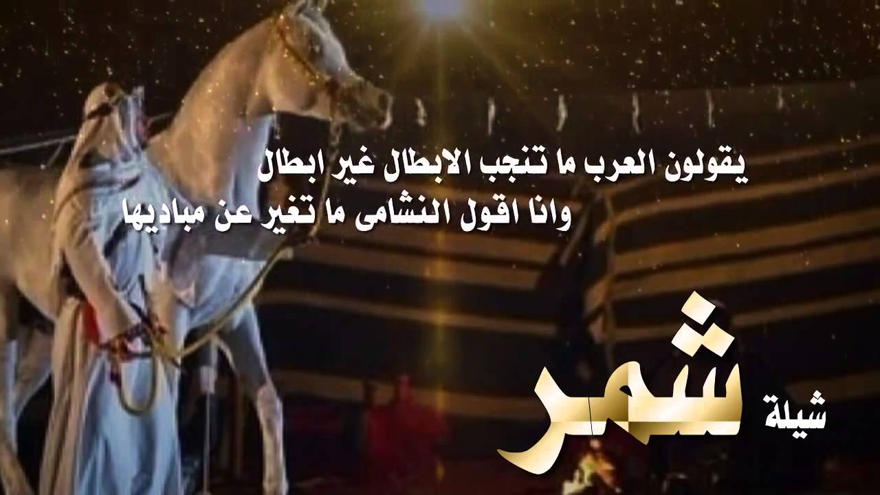 قصيده عن عشيرة شمر Youtube