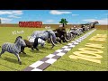Big race 30 wild animals which is the fastest animal  cookieney