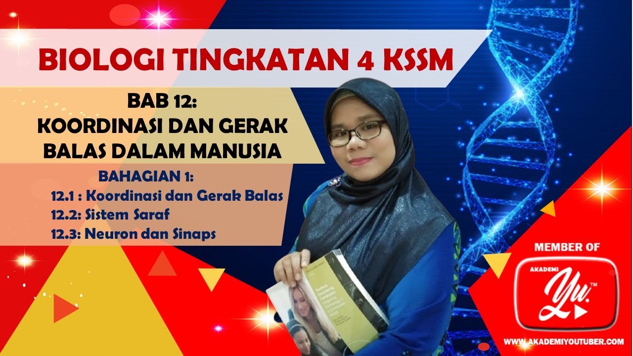 12.1, 12.2 DAN 12.3 KOORDINASI DAN GERAK BALAS DALAM MANUSIA (BAHAGIAN 1)