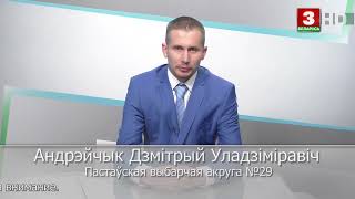 Выборы-2024. Дмитрий Андрейчик, ЛДПБ. Поставский № 29