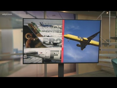 Видео: Frontier Airlines NC руу нисдэг үү?