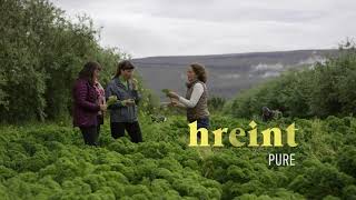 The A-Ö Of East Iceland Iceland Academy