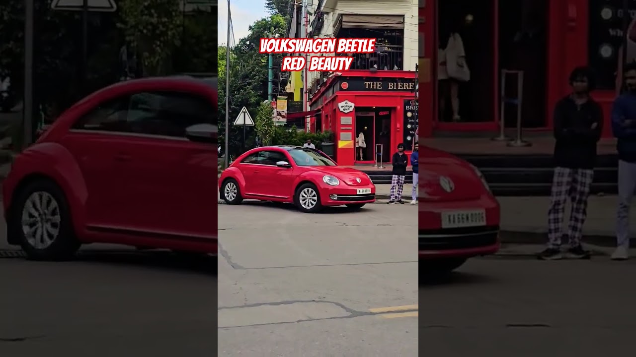 Volkswagen Beetle 