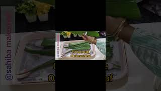 😲 Aloevera Gel Making At Home/ Homemade Aloevera Gel ll #howtomake #youtubevideo #viralvideo