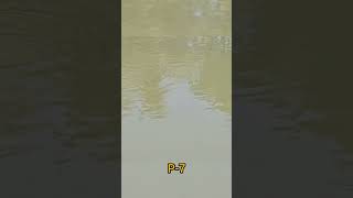 Fishery Fishing Part 7 🎣মাছ ধরতে গিয়ে হঠাৎ যা ঘটলো আমরা সবাই অবাক 😳