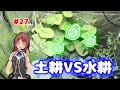 #27【室内栽培】初めてのメロン栽培 "土耕VS水耕" 【園芸】 生長記録 グロウテント MK2ライト LED