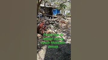 RUMAH apung di makam syekh mundzakir sayung Demak