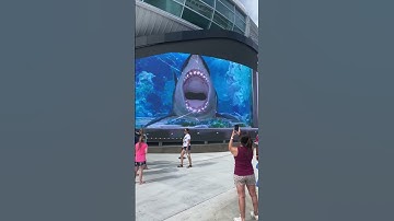 3D Shark Action! Runnnn!!! #bahamas #nassau #shark #epic  #wow