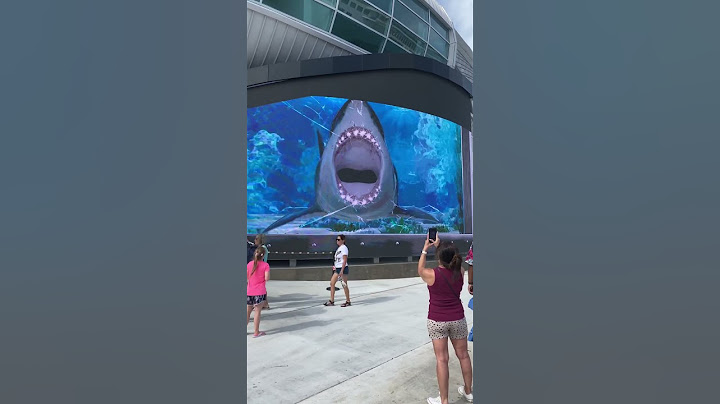 3D Shark Action! Runnnn!!! #bahamas #nassau #shark #epic  #wow