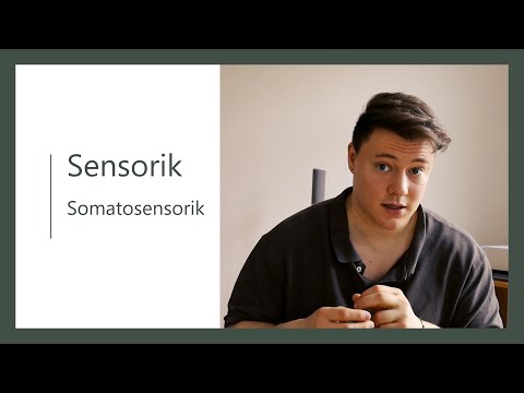Video: Was sind allgemeine somatosensorische oder Somesthetic Sinne?