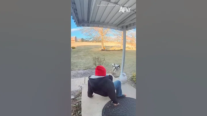 Respect People Who Fear Dogs 🐕 #dog #foryou #pet #vicious #shorts #youtubeshorts #poorpeople