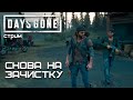 DAYS GONE. СНОВА НА ЗАЧИСТКИ ЛАГЕРЕЙ? (СТРИМ) ►Серия 10