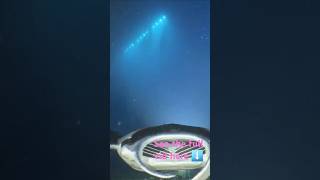 Manta fly-over!!