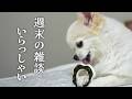 子どもがいない夫婦のお墓への納骨はどうする?永代供養って?