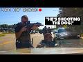 Murderer Targets Police K 9 During Standoff   Officer Fires Eight Shots After Struggle W Driver