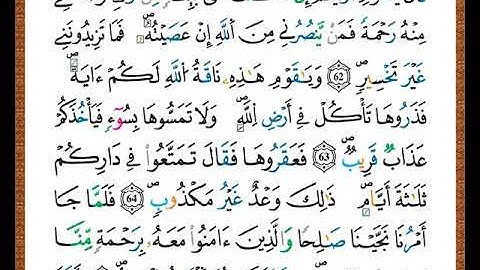 ختمة مصحف التجويد برواية قالون الصفحة رقم  229