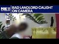 Security cam catches nasty landlord in action