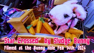 "Star-Crossed" by Sludge Bunny - Live at the Bunny Hole (2024 NPR Tiny Desk)