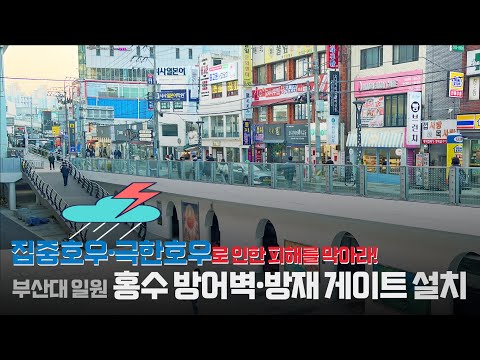 [영상으로 보는 금정소식] 2024년 2월의 금정 Thumbnail