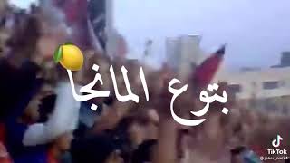 حالات واتس اب الاهلي 2022