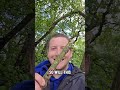 Think FAST! ##WILLITSKIM Tree 🌳 vs. stone_skimmer ⚔️ Not a bad skim for a twig! #stone #rockskipping