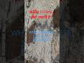Concrete Curing: Don't Skip This! #concrete #construction #shorts