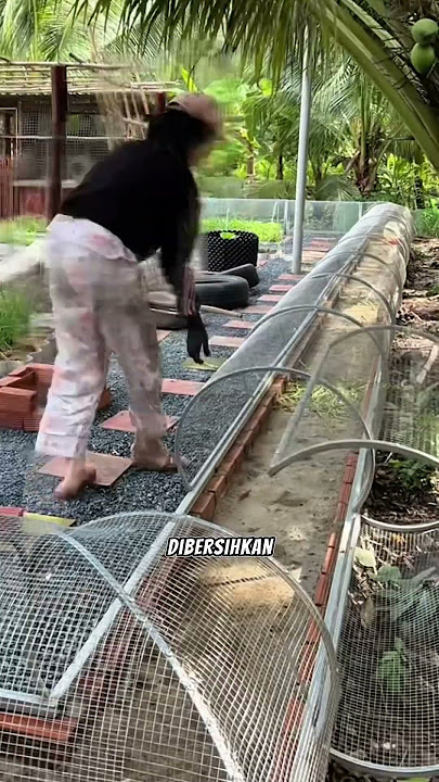 modern chicken coop #farming #chicken #gardeningtips #farming #smarttips #fyi #reels