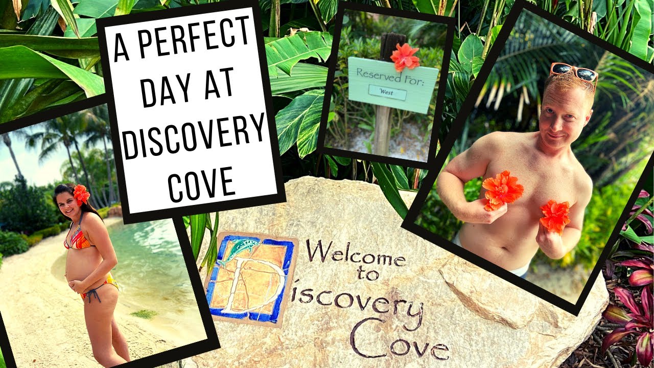 A Perfect Day at Discovery Cove Orlando! | We got a CABANA!!!