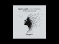 Lola Palmer What You Feel Endemica Remix INT006 mp3