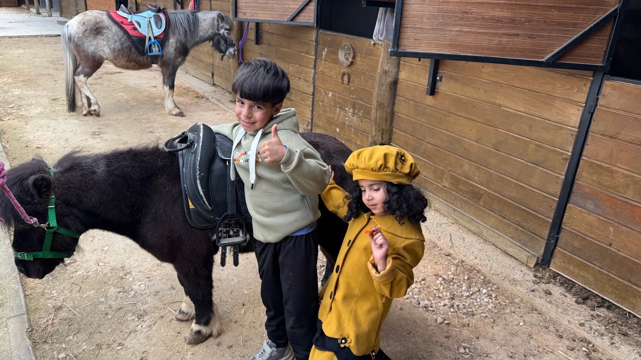 يوسف وشمس في المزرعة