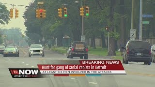 Hunt for gang of serial rapists