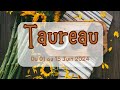 ♉ Taureau ♉ du 01 au 15 Juin 2024 💰💶🤑 Assise FINANCIÈRE ! et une ABONDANCE générale !!! 💖💰💶💫🎉