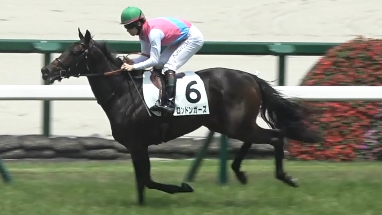 現地】2026 新馬戦 ロンドンガーズ 松山 弘平騎手【前川恭子先生 阪神