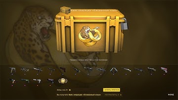 Operation Broken Fang Case Opening 4 | CS:GO