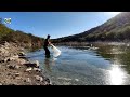 Buscando tilapias gigantescas y encontr tilapias monstruo en este arroyo