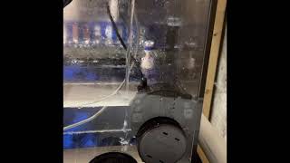 Mixing Microbubbles