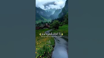 #تلاوة_خاشعة #القران_الكريم #حالات_واتس #quran_alkarim #تلاوة_خاشعةالمصحف  #القران_الكريم_راحه_نفسية