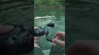 Swimbait action #recommended #shortsviral #fish #bassfishing #viral #swimbaits #swimbaitunderground