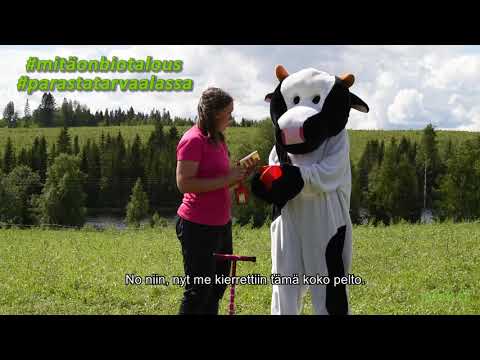 Video: Mitä maanäyte kertoo?